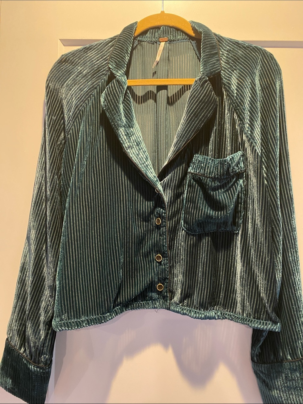Free People Semi Sheer Corded Velvet Top. Beautiful!!